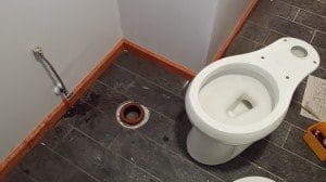 toilet pic 1