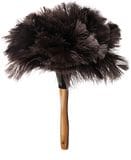 ostrich-feather-duster-13431859